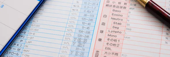 写真撮影・血液検査のイメージ画像